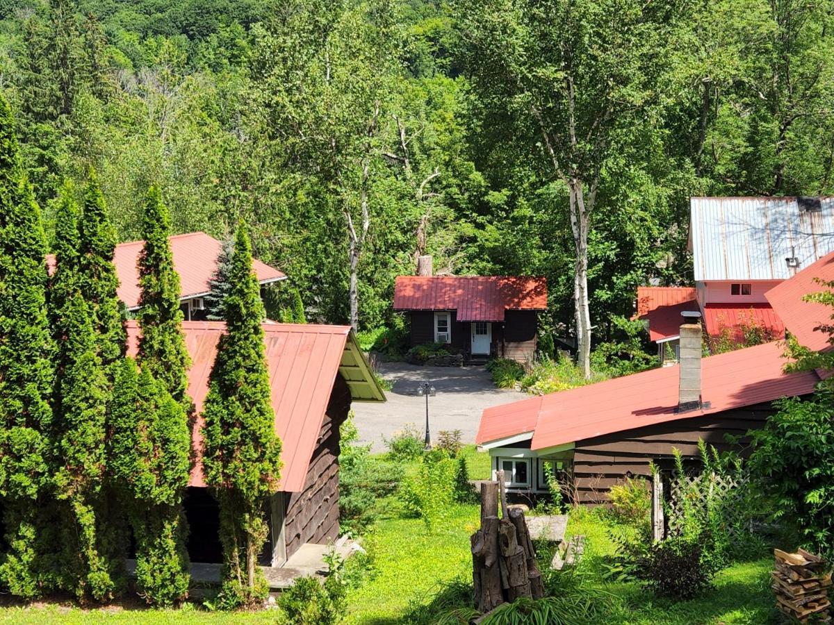 Belleayre Lodge Pine Hill Bagian luar foto
