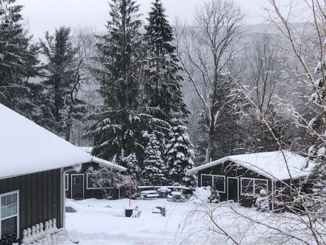 Belleayre Lodge Pine Hill Bagian luar foto