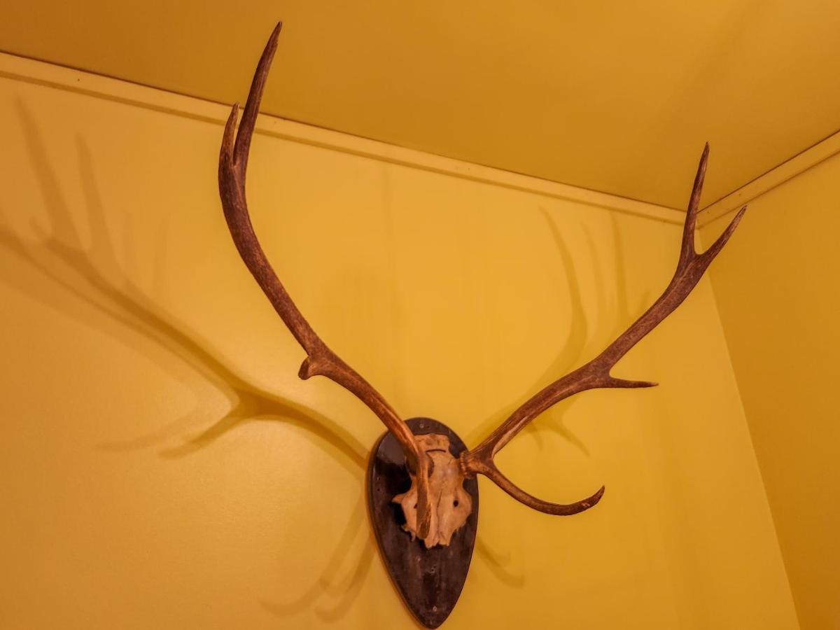 Belleayre Lodge Pine Hill Bagian luar foto